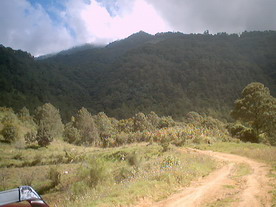 Viaje relampago!